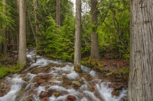 WATER PATH